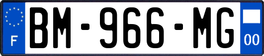 BM-966-MG