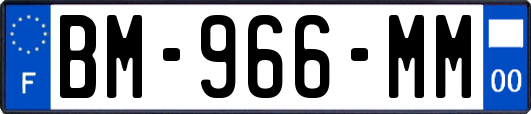 BM-966-MM