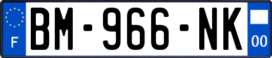 BM-966-NK