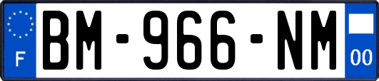 BM-966-NM