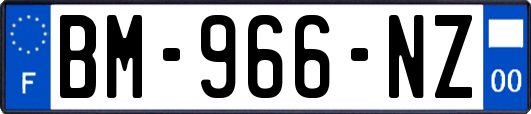 BM-966-NZ