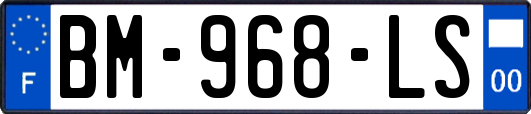 BM-968-LS