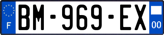 BM-969-EX