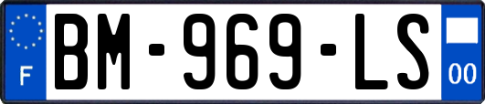 BM-969-LS