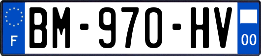 BM-970-HV