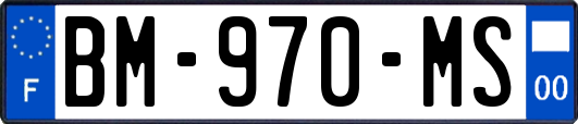 BM-970-MS