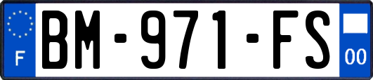 BM-971-FS