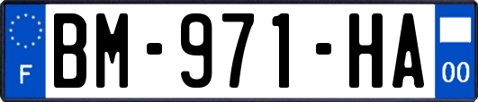 BM-971-HA