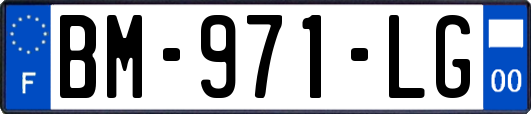 BM-971-LG