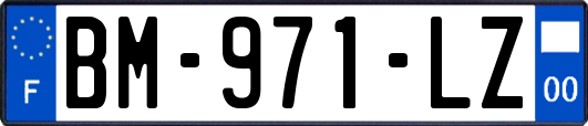 BM-971-LZ