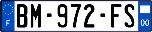 BM-972-FS