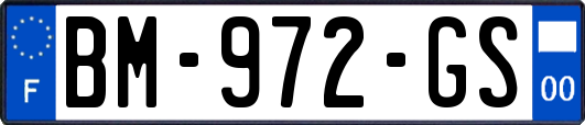 BM-972-GS