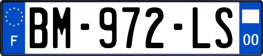 BM-972-LS