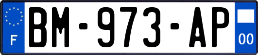 BM-973-AP