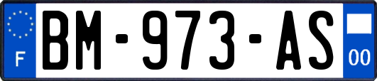 BM-973-AS