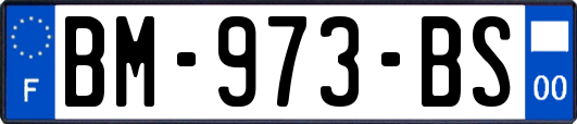 BM-973-BS