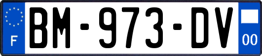 BM-973-DV