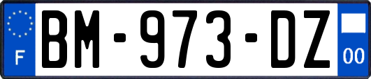 BM-973-DZ