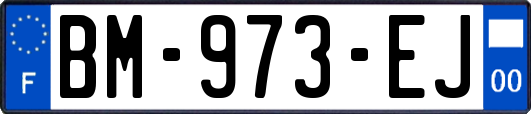 BM-973-EJ