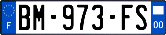 BM-973-FS