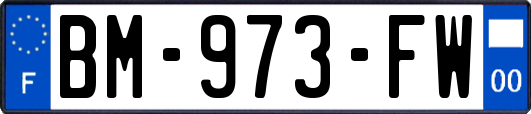 BM-973-FW