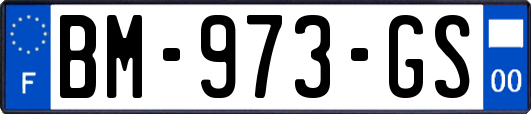 BM-973-GS