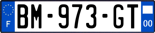 BM-973-GT