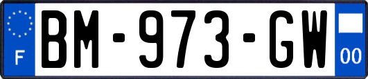 BM-973-GW