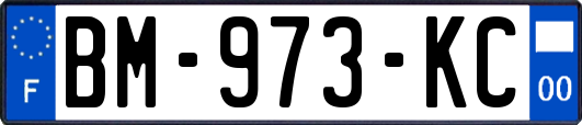 BM-973-KC
