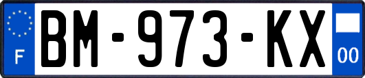 BM-973-KX