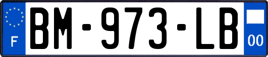 BM-973-LB