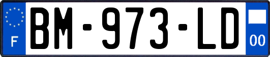 BM-973-LD