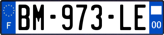 BM-973-LE