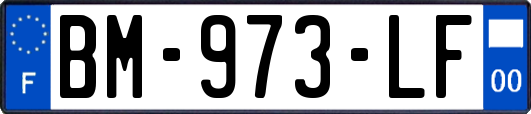 BM-973-LF