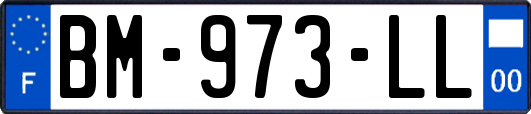 BM-973-LL