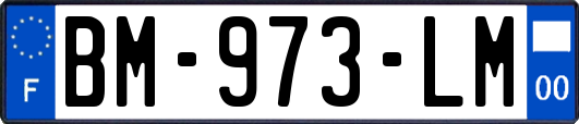 BM-973-LM