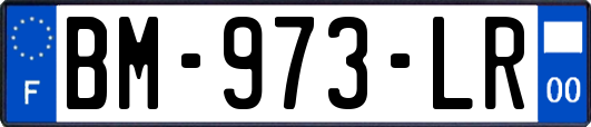 BM-973-LR