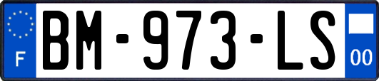 BM-973-LS