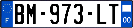 BM-973-LT