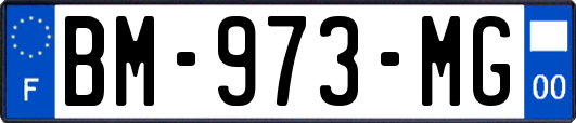 BM-973-MG