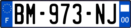 BM-973-NJ