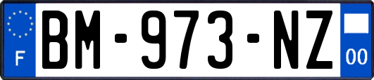 BM-973-NZ