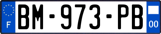 BM-973-PB