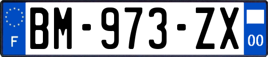 BM-973-ZX