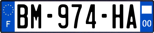BM-974-HA