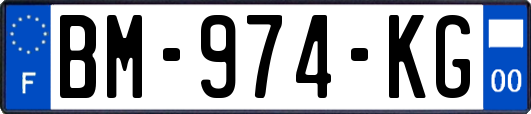 BM-974-KG