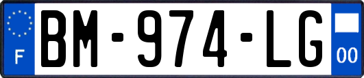 BM-974-LG