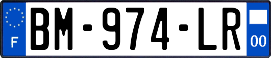 BM-974-LR