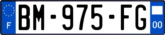 BM-975-FG