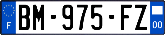 BM-975-FZ